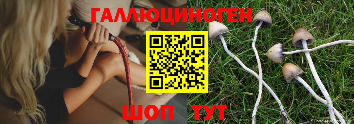 где можно купить   Псилоцибиновые грибы ЛСД  Алексин  Вход с VPN  Псилоцибиновые грибы Magic Shrooms 